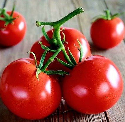 Piante & sementi: Tomate "RAMATO" 30 Samen. Kupfer (oder Cluster) Tomat stark – Nuovo e nell'imballaggio originale da Rovio venduto da POSITIFFARTandPLANTS 2