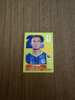 Panini FIFA World Cup 2026, BIH 16