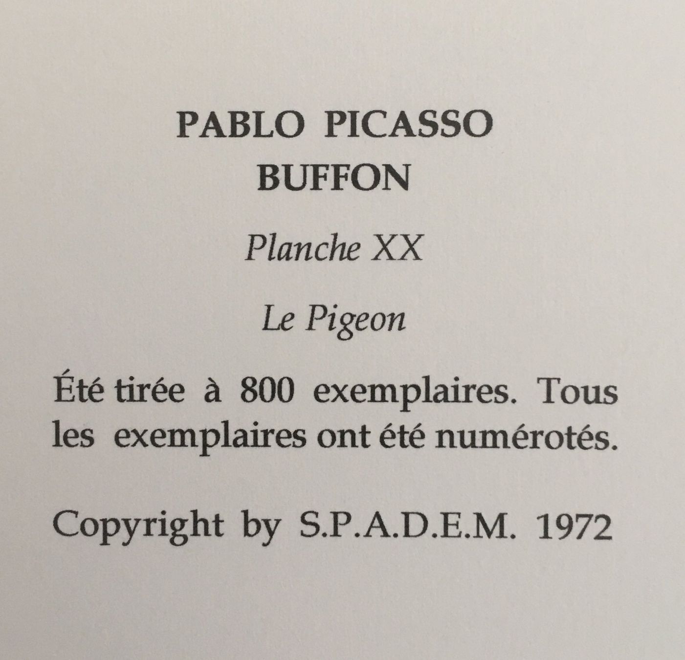 Grafica & Litografie: Pablo Picasso   Buffon  "Le Pigeon" – Usato da Nennigkofen venduto da Sommersonnen 6
