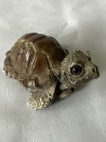 Süsse Deko-Schildkröte🐢 aus Kunststoff für Dein Zuhause