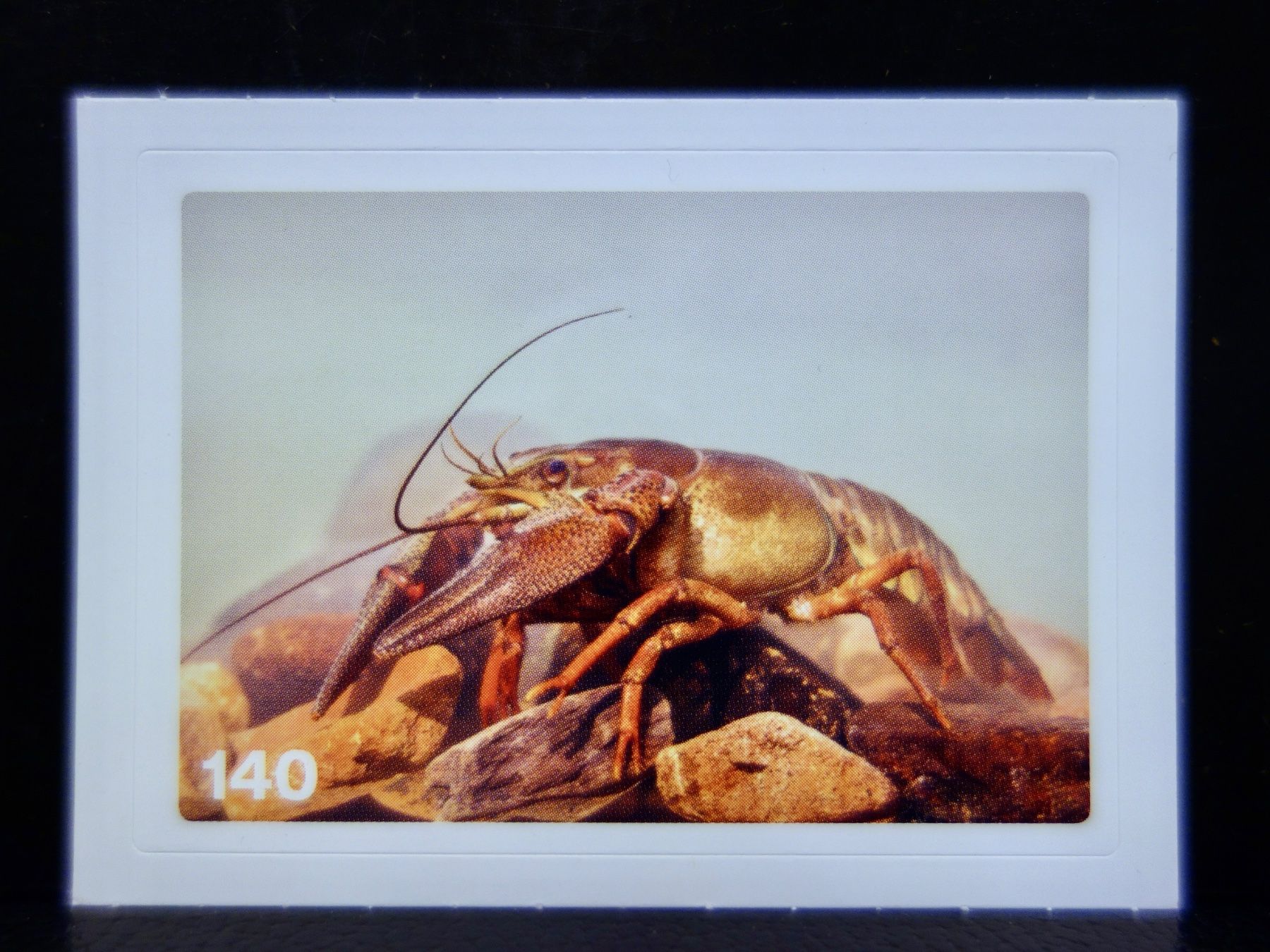 Migros Sammelbilder & Trading cards: MIGROS MANIA Nature Detectives Nr. 140 – Neu und originalverpackt aus Kerzers von djstarsky73