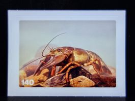 MIGROS MANIA Nature Detectives Nr. 140