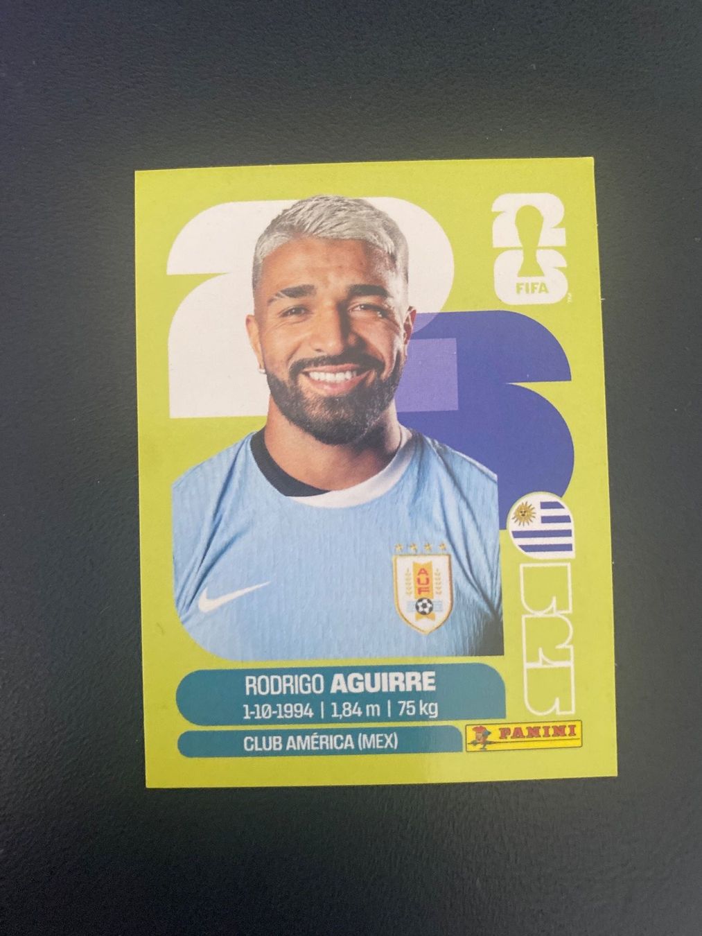 Panini Carte collezionabili: Panini FIFA World Cup Sticker URU 19 – Nuovo (secondo la descrizione) da Glattbrugg venduto da riseca