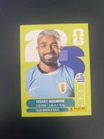 Panini FIFA World Cup Sticker URU 19