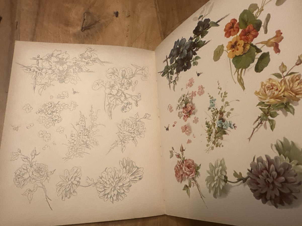 Bücher: Antikes Mal- und Zeichenbuch "Aus der Blumenwelt" – Gebraucht aus Frauenfeld von aluma14 5