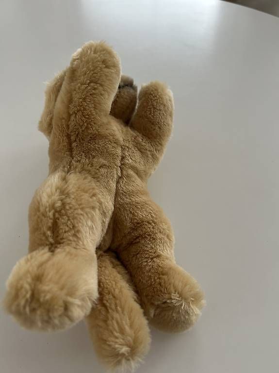Giocattoli: Peluche labrador chien Steiff – Usato da Pully venduto da Geraldine10 2