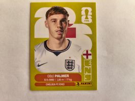 W Cup 2026 Angleterre N°12 Palmer
