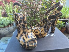 Dolce & Gabbana Sandalen, Leo-Look, Gr.36,5, wie neu