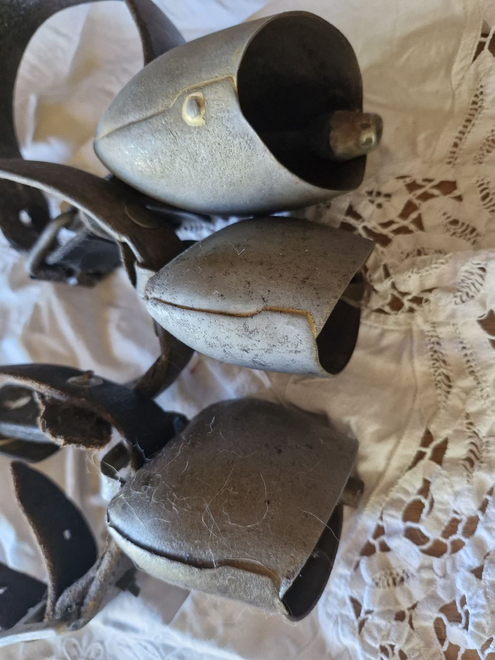 Campanacci mucche: Ziegen-Schaftreicheli  – Usato da Guarda venduto da rue_bpd7 1
