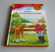 Kleine Fohlengeschichten (Lydia Hauenschild)