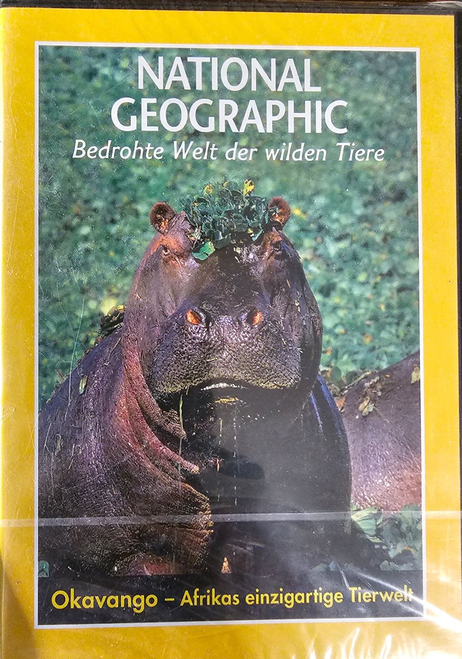 Tutti i DVDs: National Geographic - Okavango – Nuovo e nell'imballaggio originale da Wahlen b. Laufen venduto da Cg10