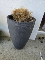 Blumentopf / Pflanzentopf