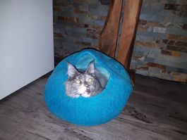 Katzen Filzhöhle Türkis Blau mit Pfoten Design, Handgemacht