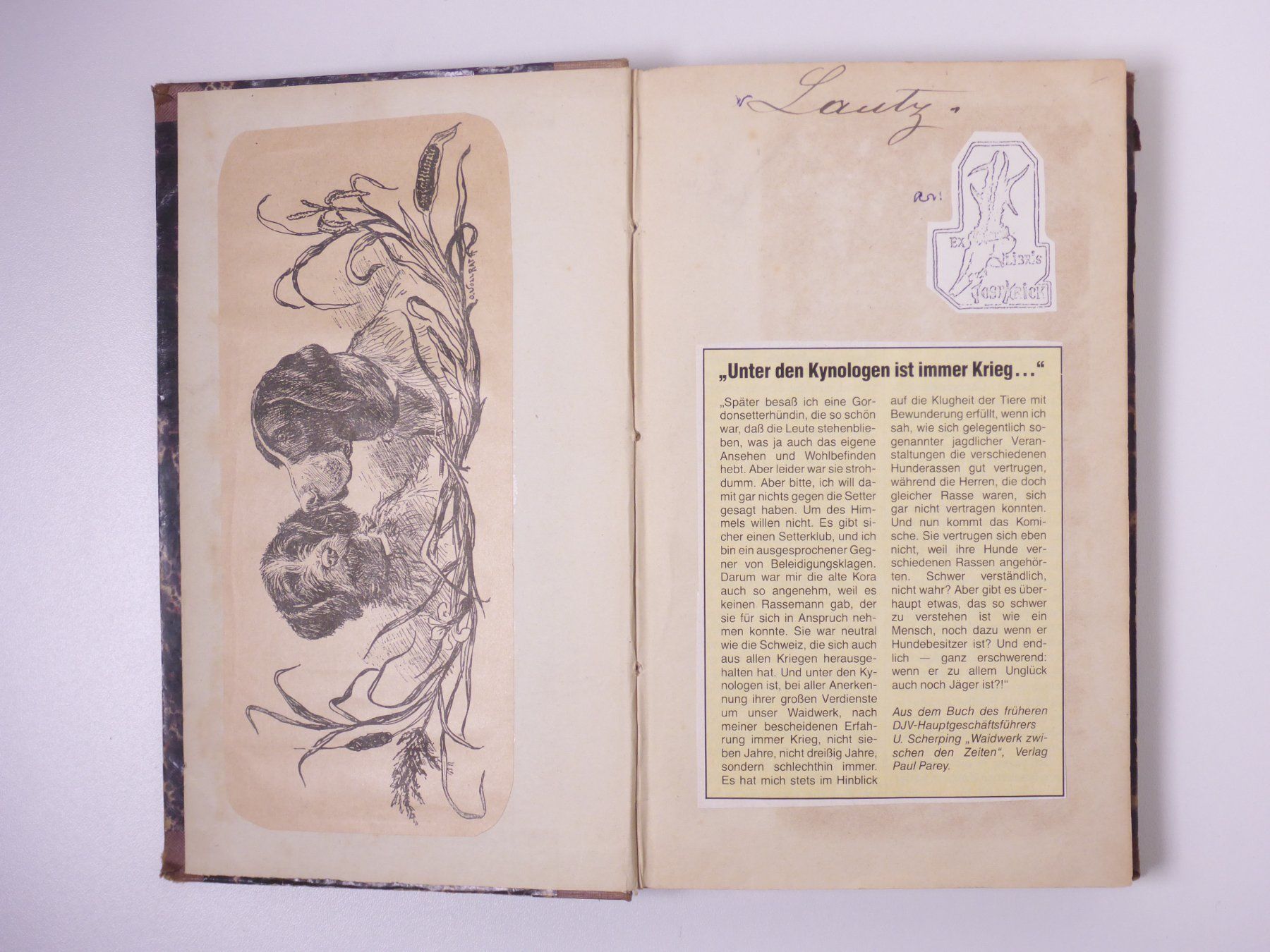 Libri: Friedrich Oswald: Der Vorstehhund. 1855. – Usato da Erschwil venduto da taglang 4