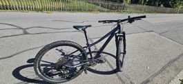 Scott Kindervelo