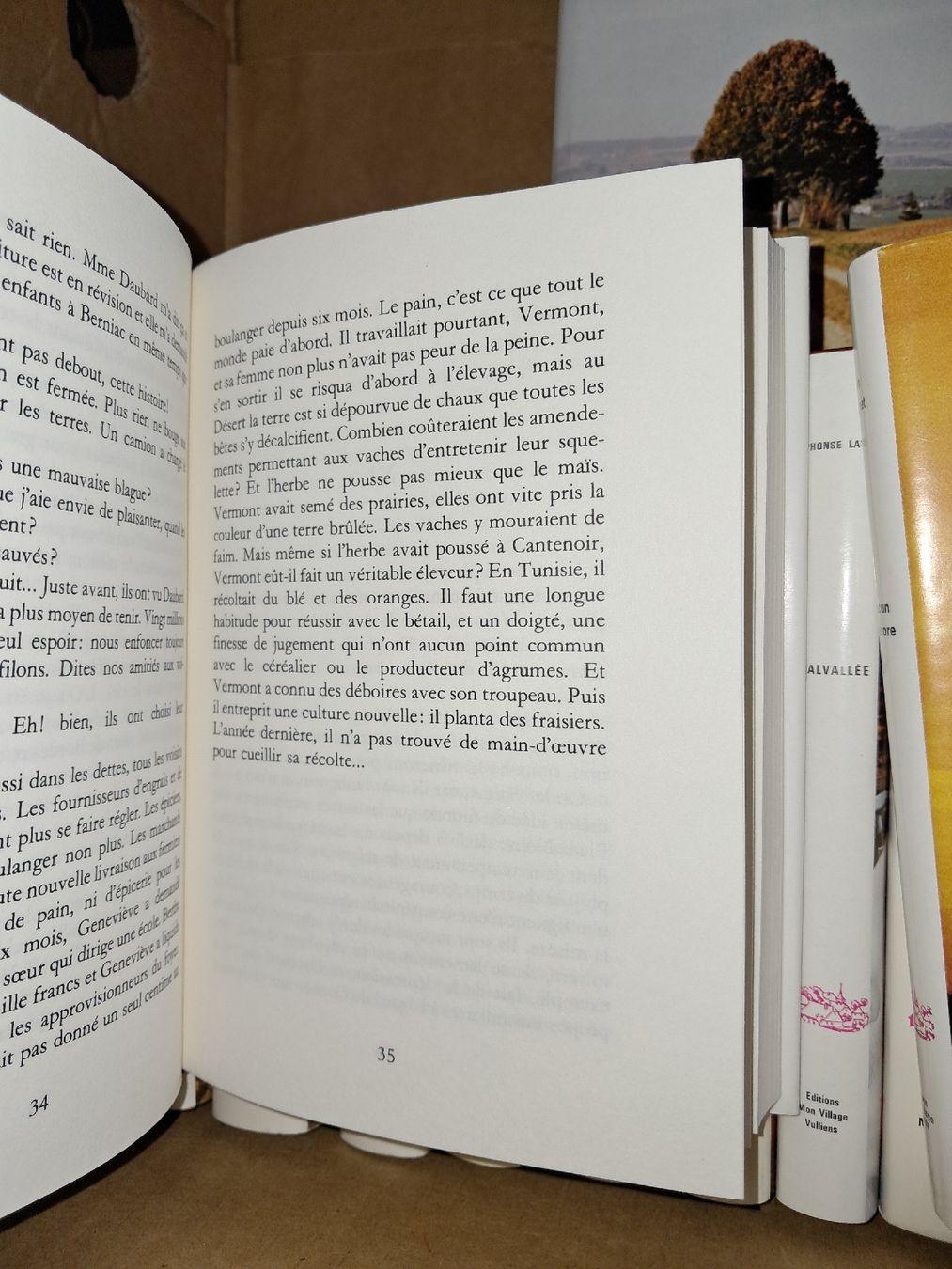 Bücher: Lot de 2 livres de Jean Robinet – Gebraucht aus Le locle von juliensaran 2