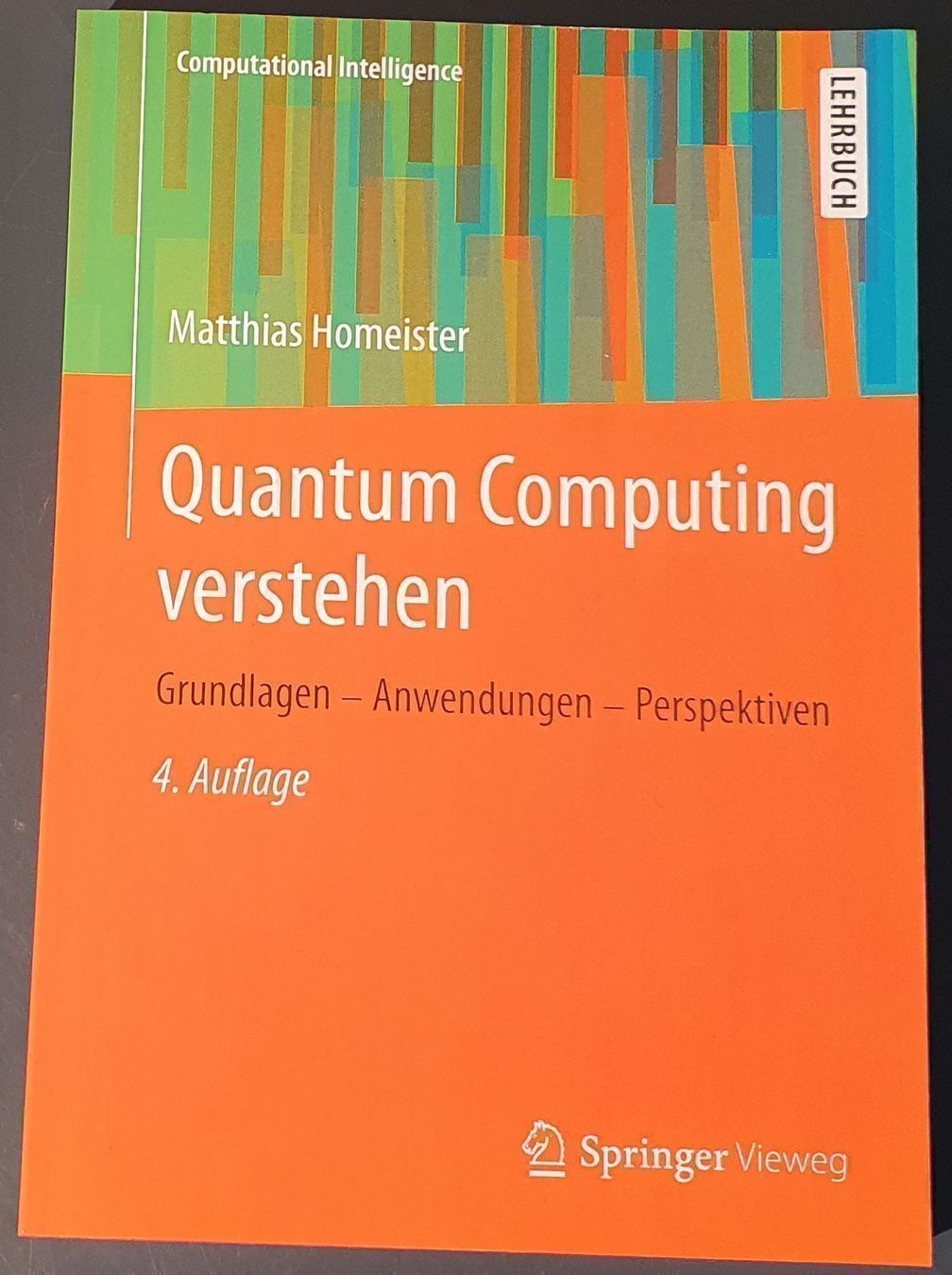 Libri: Quantum Computing verstehen – Usato da Dübendorf venduto da Povo