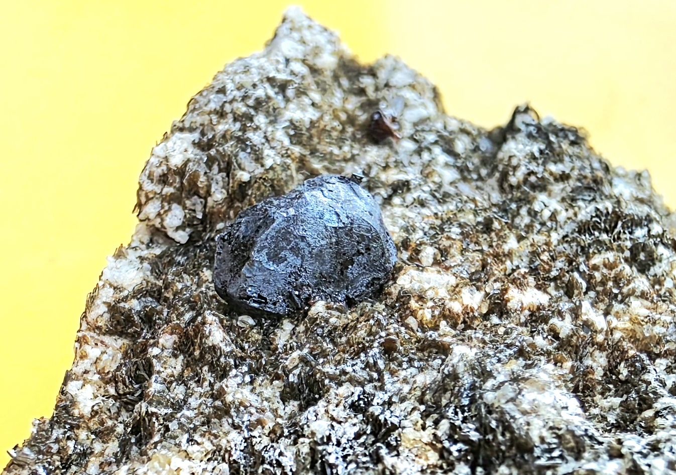 Minerali & Pietre curative: Mineralien Set 5 teilig mit Ilmenit, Magnetit, Rutil, Adular – Usato da Glis venduto da nbu_65ys 3
