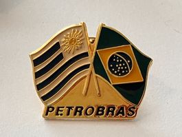 1 Pin Petrobras