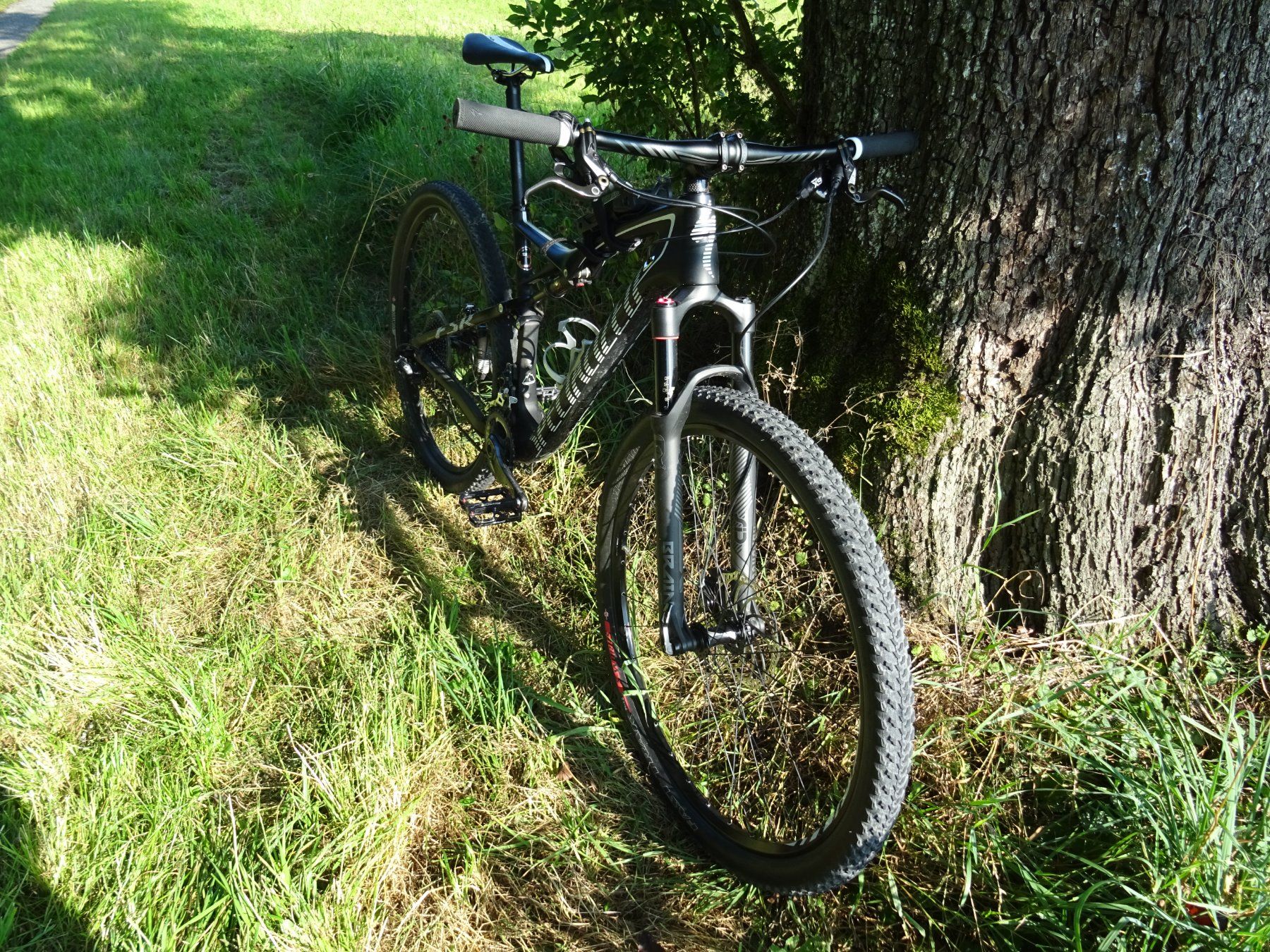 Specialized Velos: Specialized Epic 29 Zoll 2019 – Gebraucht aus Herrenhof von