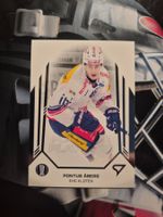 Pontus Aberg EHC Kloten Playoffs 2025 Sportzoo