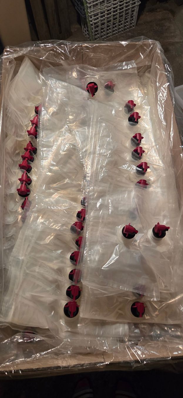 Contenitori & Simili: Bag in Box Butel 5L – Nuovo (secondo la descrizione) da Rickenbach LU venduto da kinimod02
