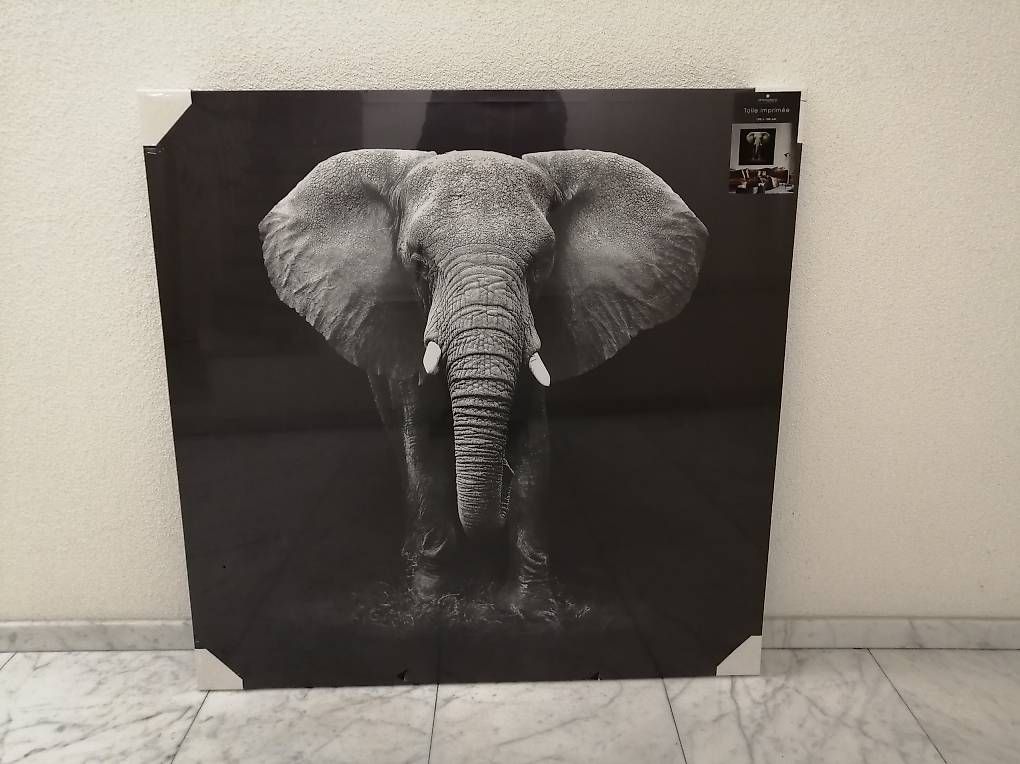 Poster & Bilder: Bild Elefant 100 x 100, neu, Originalverpackt – Gebraucht aus Riehen von Ricardolix