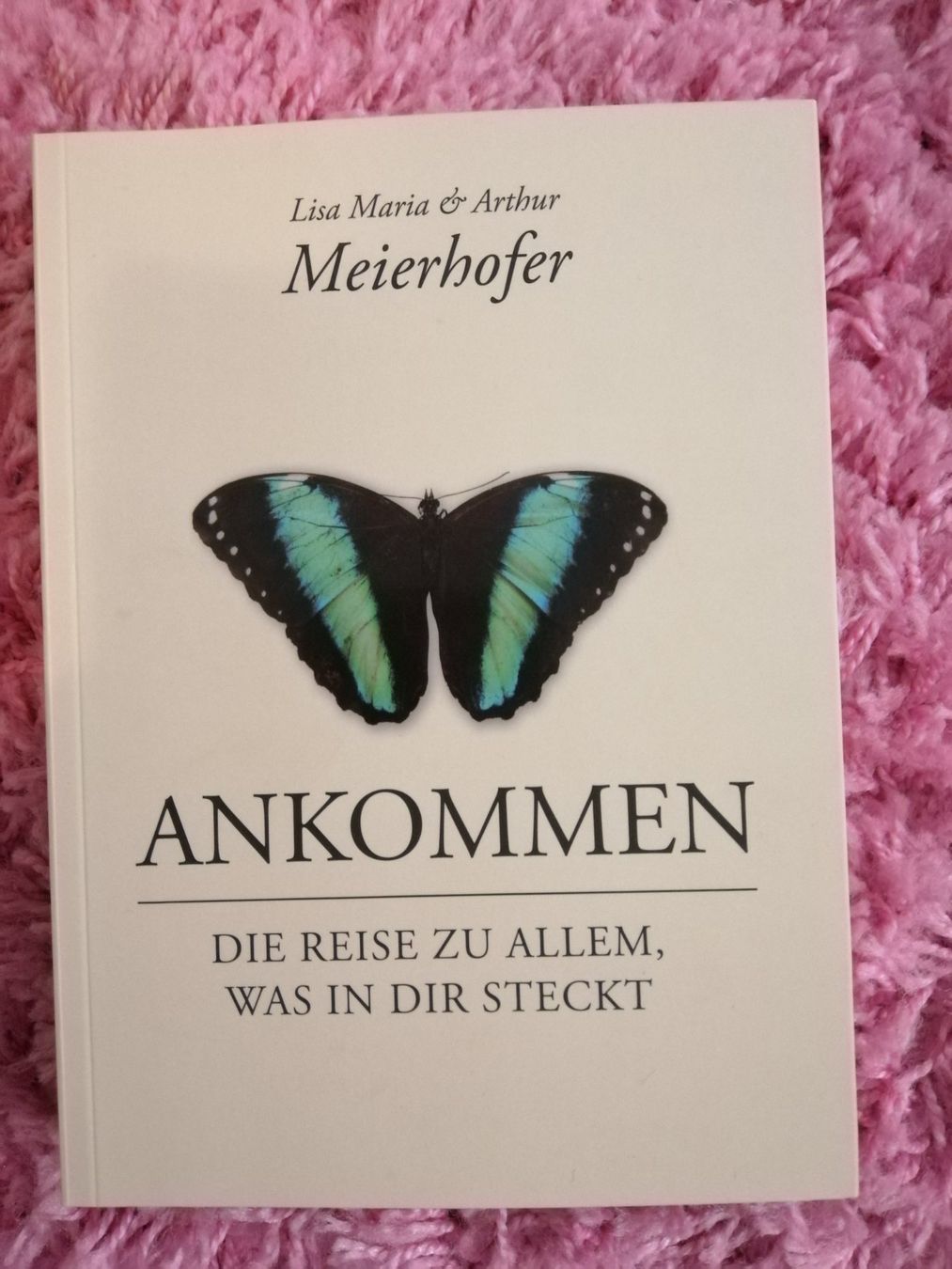 Bücher: Ratgeberbücher und Buddah aus Stoff – Gebraucht aus Villmergen von MONCHHICHI 2