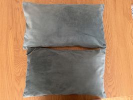 2x Samt Zierkissen von Pfister  30x50 cm