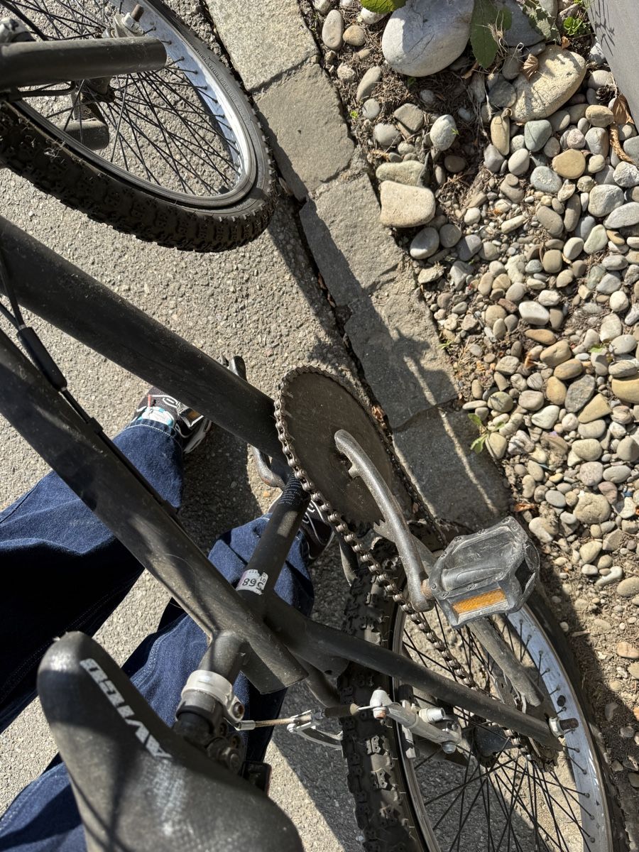 Biciclette: BMX – Usato da Ettingen venduto da mengi 3