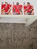 Vergas, Zakaria und Freuler WM Karte