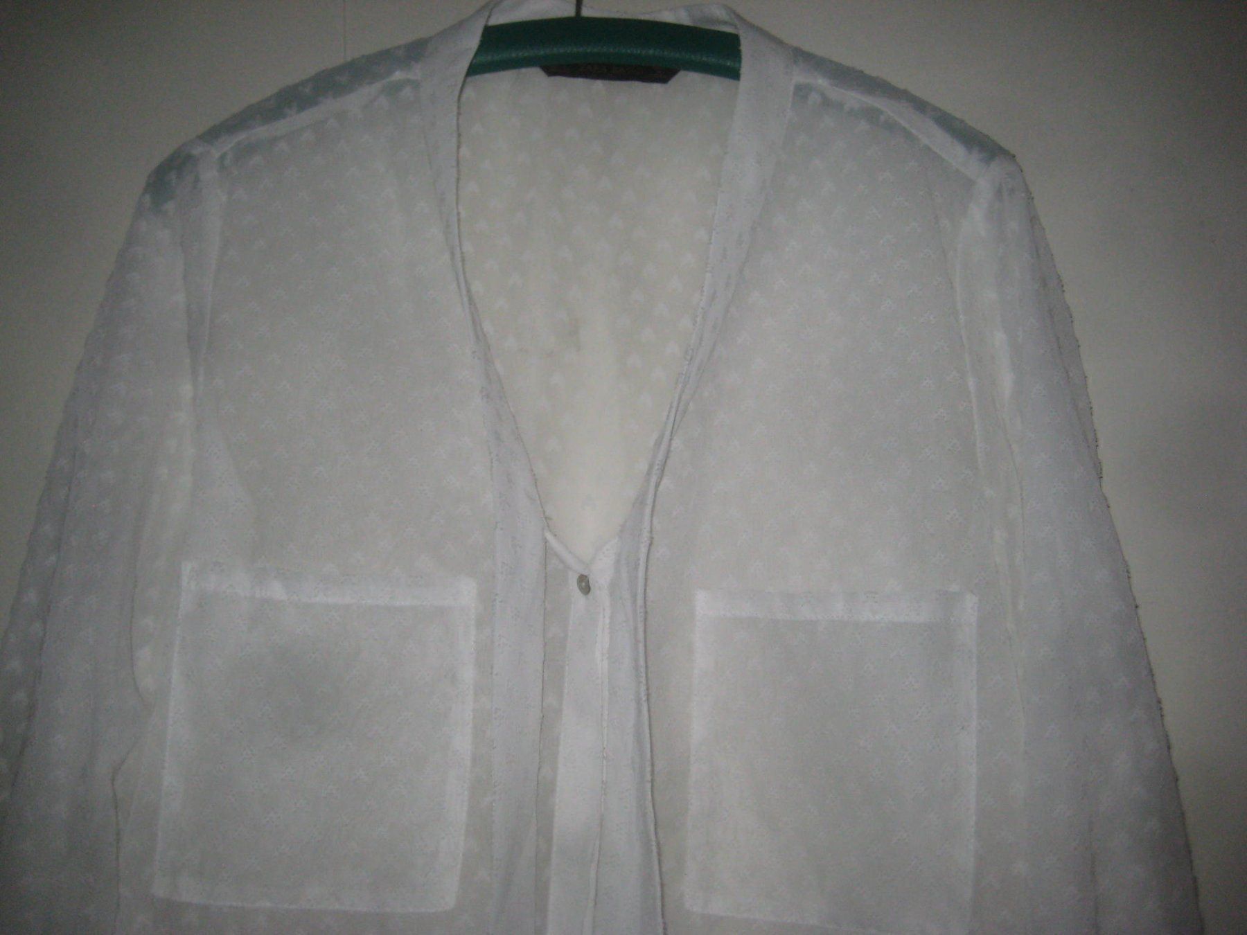 Zara Blusen: DAMEN BLUSE – Gebraucht aus Uster von flocke1 1