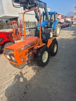 Trattore Goldoni 245