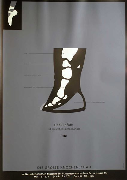 Foto & Immagini: Claude Kuhn, Elefant – Nuovo (secondo la descrizione) da Bern venduto da Vintage-Art-Poster