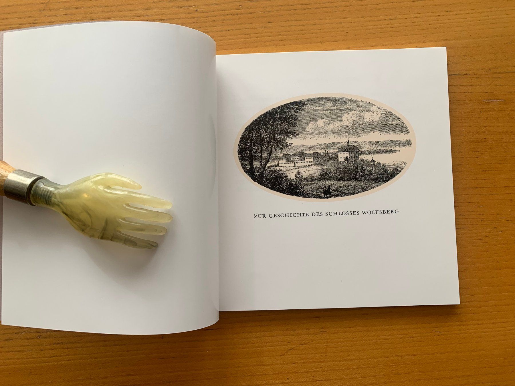 Libri: Schloss Wolfsberg Geschichte – Usato da Altstätten SG venduto da alpalfa 1