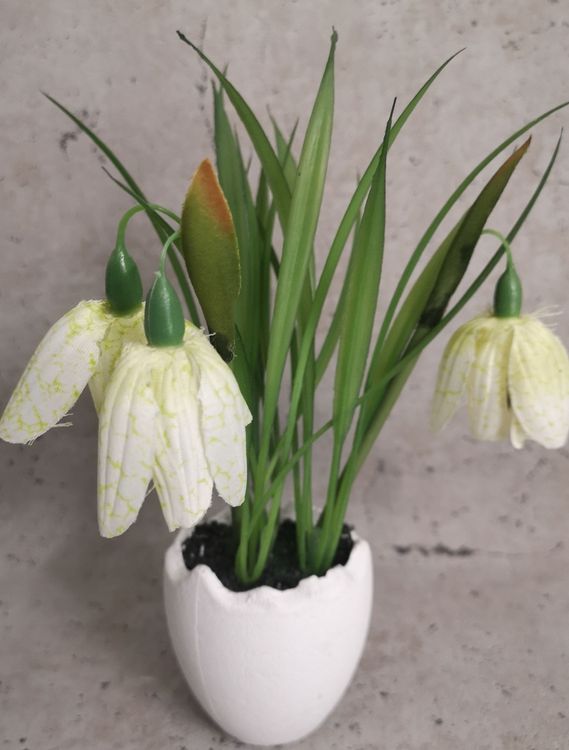 Schneeglockchen Deko Kaufen
