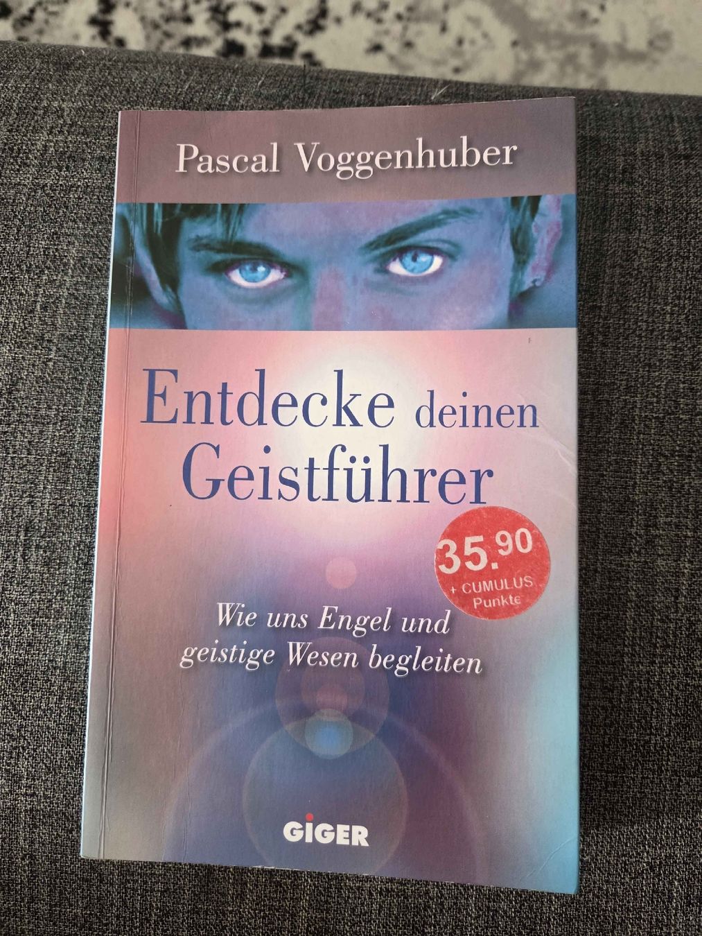 Libri: Buch Entdecke deinen Geistführer Pascal Voggenhuber – Usato da Lostorf venduto da _Venus_