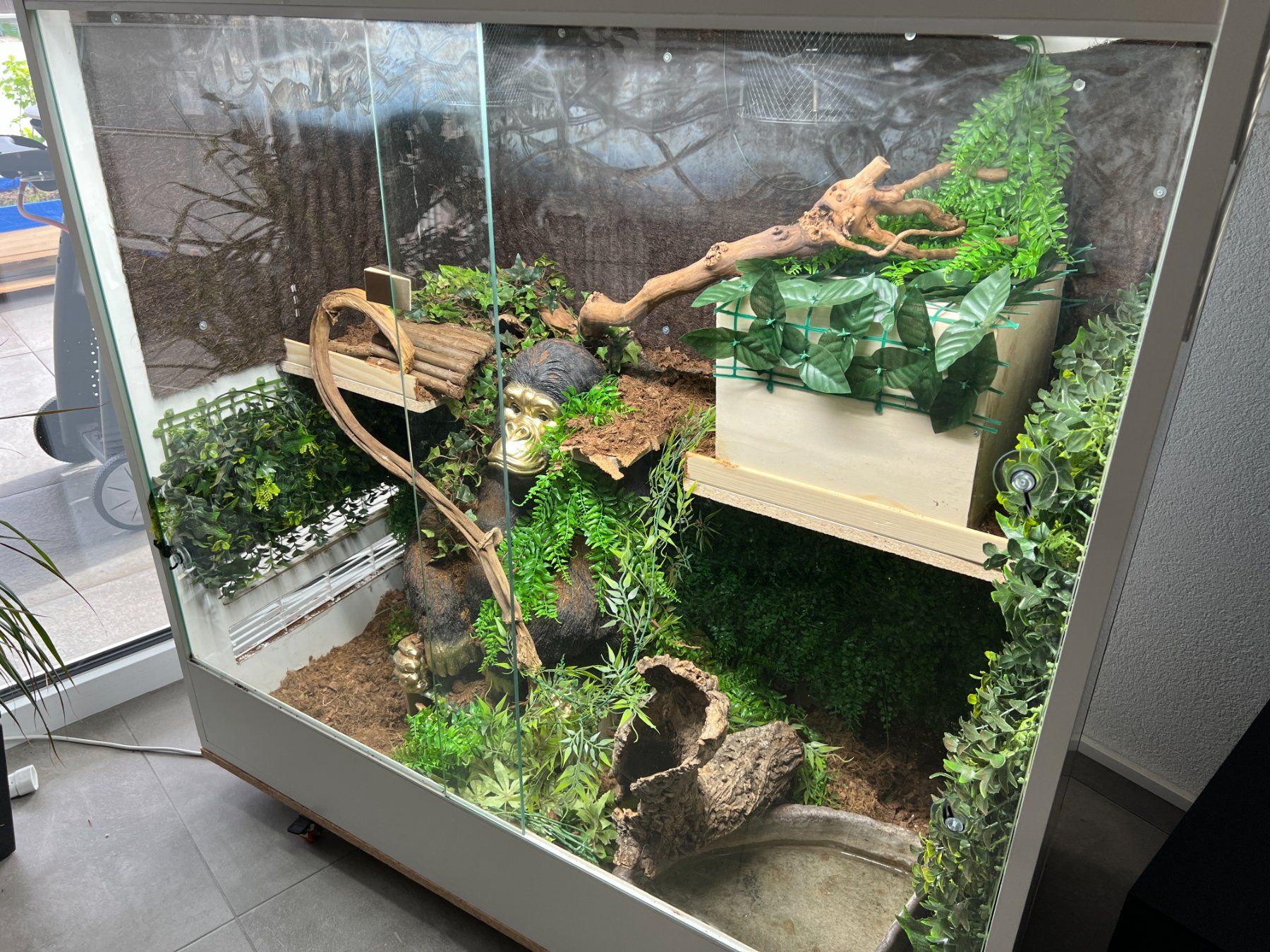 Terrarium: Terrarium 120x60x120 full complet – Gebraucht aus Oleyres von  1
