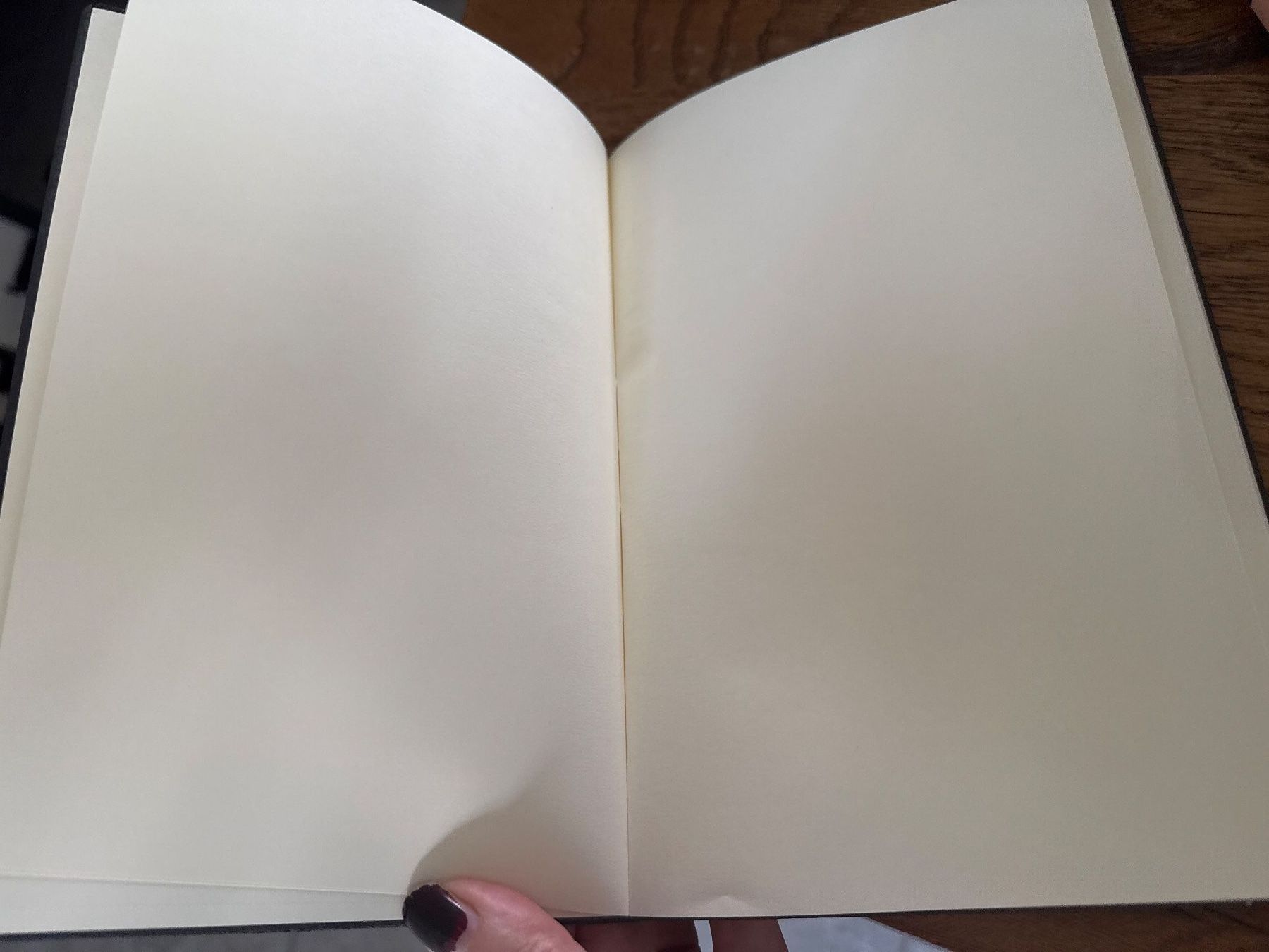 Blocchi: Notizheft-Notizbuch-Eule-Erinnerung-Painten-Selfmade – Nuovo (secondo la descrizione) da Teufenthal AG venduto da MeineSchatztruhe 1