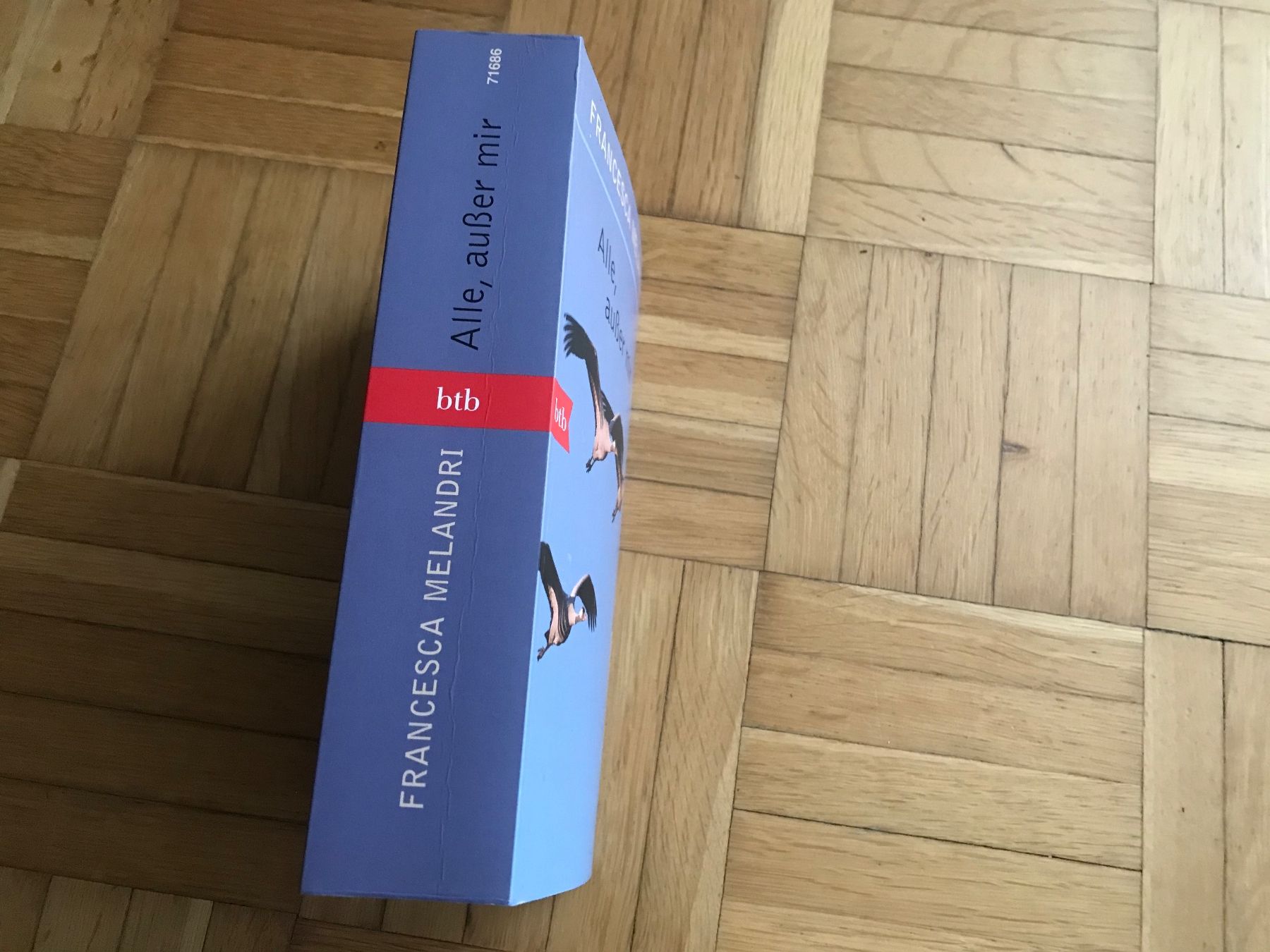 Libri: Francesca Melandri - Alle, ausser mir – Usato da Emmenbrücke venduto da Hathor123 1