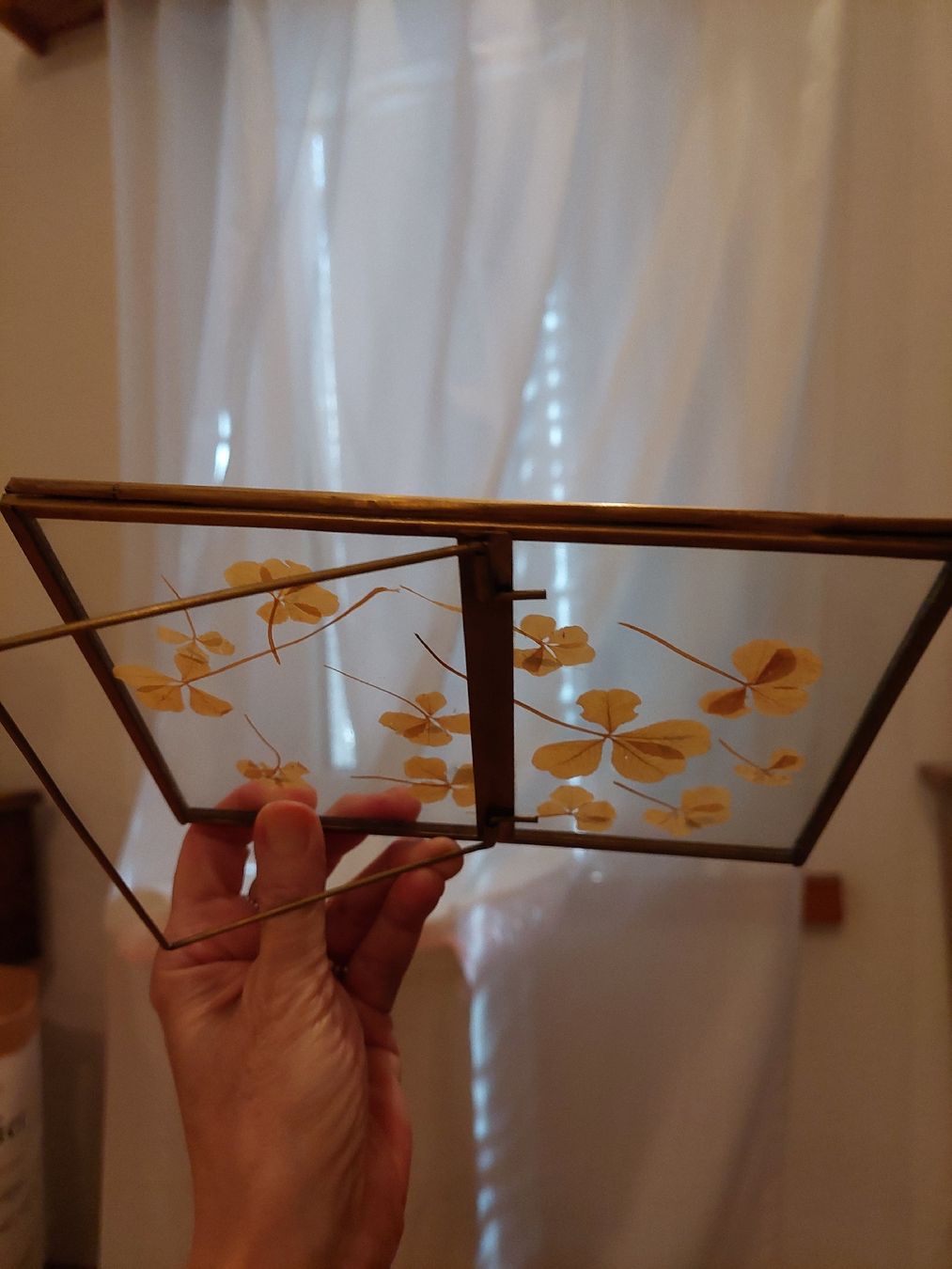 Tutte le decorazioni: Rahmen mit echten 4 u 5blättrigen Kleeblättern gepresst – Usato da Remetschwil venduto da littleredboots 2