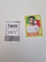 Panini Sticker IRN16