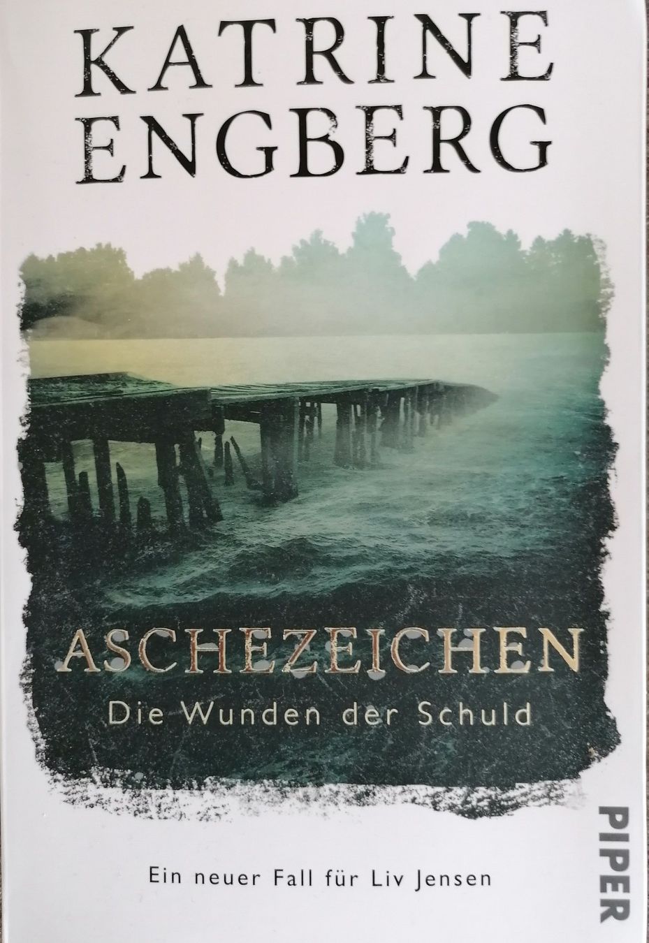 Bücher: Aschezeichen, Band 2 – Gebraucht aus Splügen von enzian22