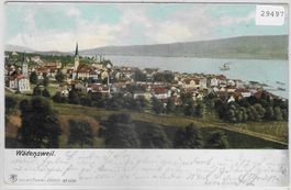 Wädenswil - Generalansicht 1906