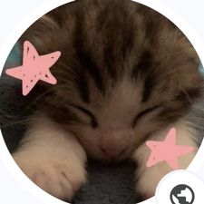 Profile image of Lokiwi