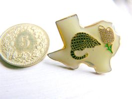 •Gürteltier tatou Armadillo animal Süd Amerika    pin M7A.16