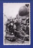 CHAT - Chatons militaire