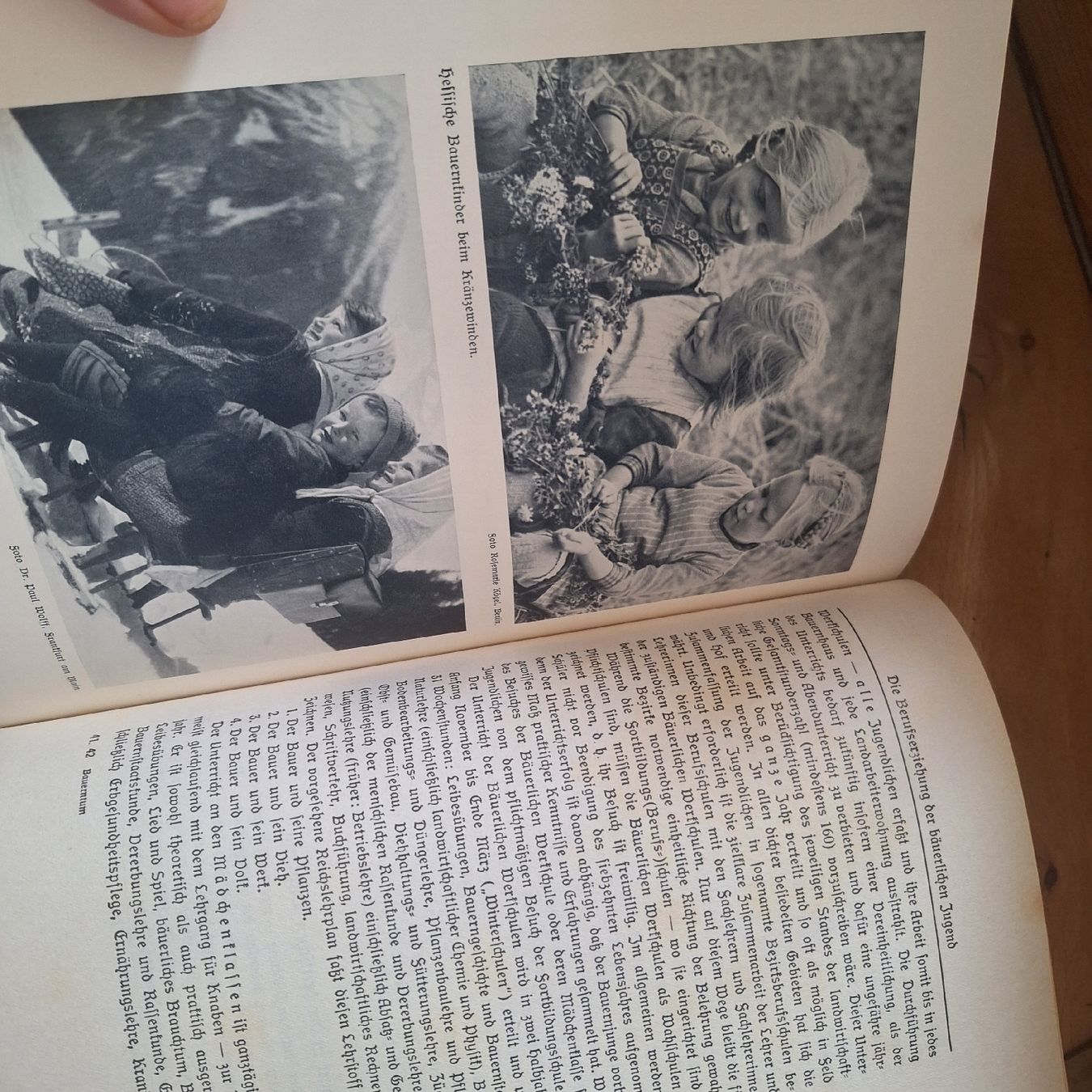 Libri: Alte Bücher über Landwirtschaft, Bauer – Usato da Winterthur venduto da Goldpipau 8