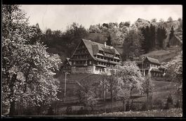 Foto-AK Oberägeri /Zug, Chalet am Hang mit blühenden Obstbäu