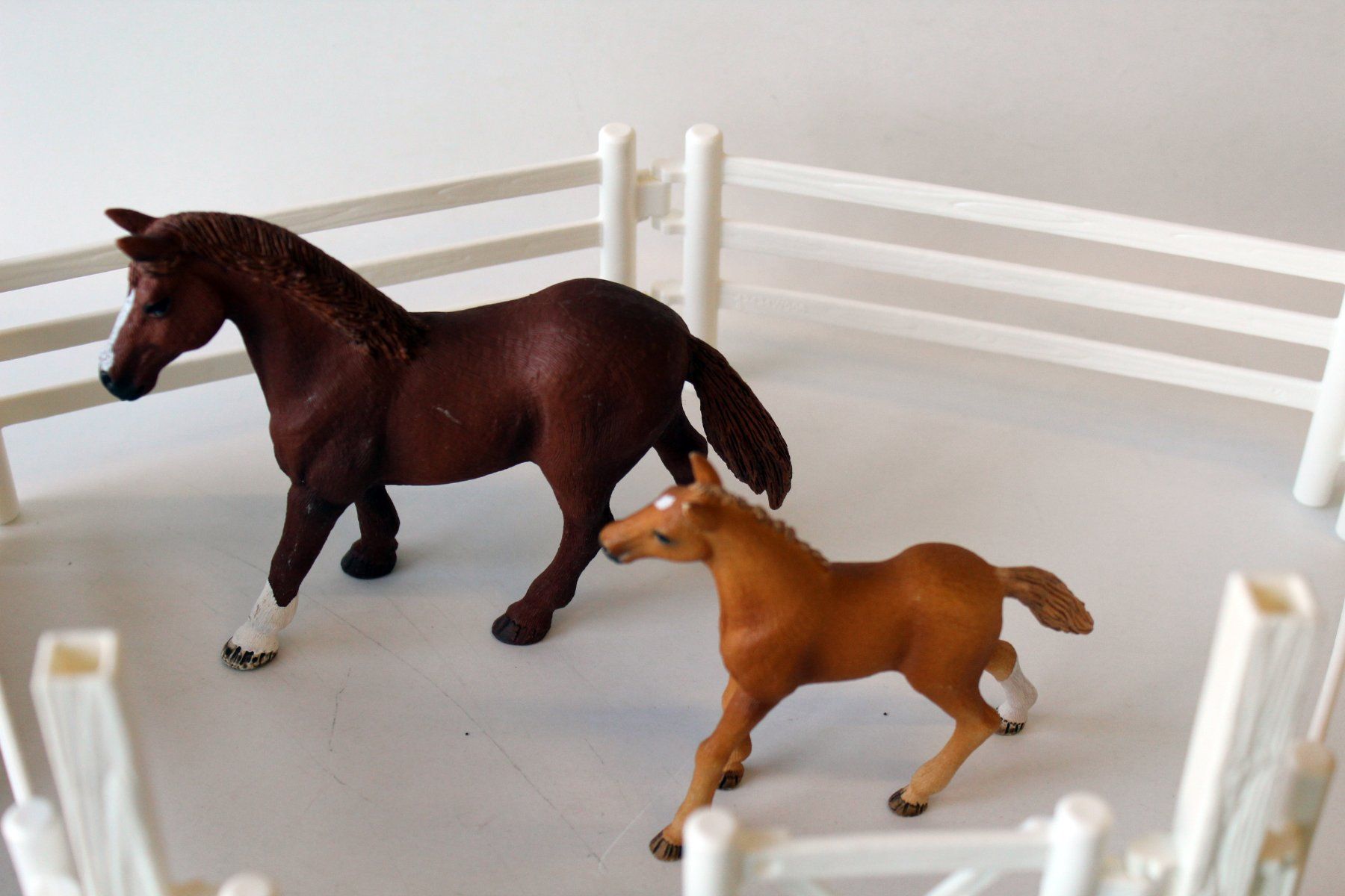 Schleich Giocattoli: SCHLEICH - Pferde mit Zubehör – Usato da Roggwil BE venduto da Hemhem 1